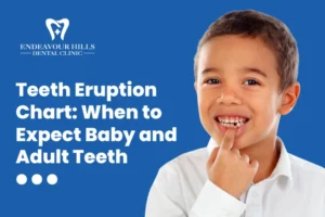 Teeth Eruption Chart: When to Expect Baby and Adult Teeth